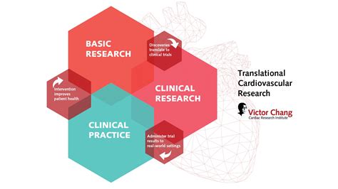 Translational Cardiovascular Research Victor Chang Cardiac Research