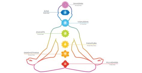 Sexual Energy And Love Life Your Chakras Explained