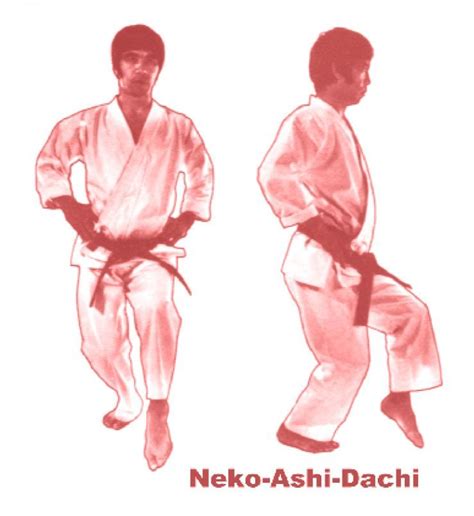 Neko Ashi Dachi Tecnicas De Karate Técnicas De Artes Marciales Artes Marciales