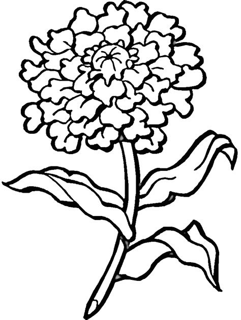 10.06.2019 · descarca gratuit cele mai dragute desene de colorat cu flori, plante si animale. Flori - Planse de colorat si educative