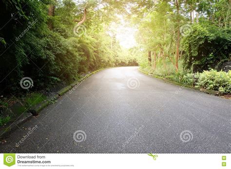 Asphalt Road With Trees Stock Image Image Of Abstract 80963595