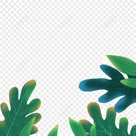 Aesthetic Plants Elements Image Png Free Download And Clipart Image For