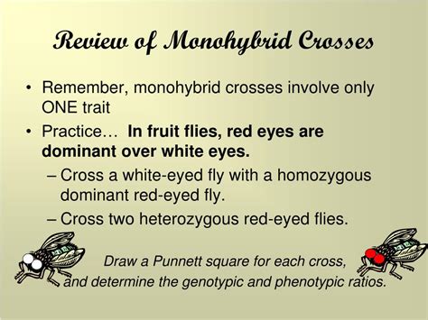 Mendel invented the dihybrid cross to determine if different traits of pea plants, such as flower color and seed shape, were inherited independently. PPT - Heredity and Genetics Part Two Dihybrid Crosses ...
