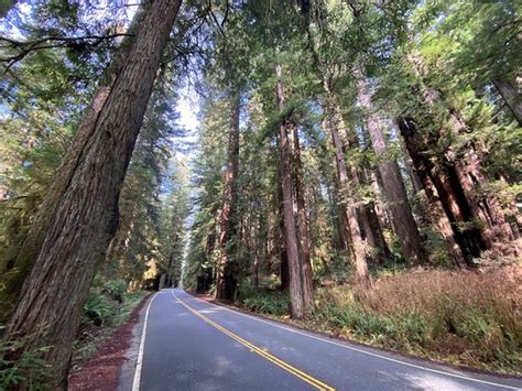 Prairie Creek Redwoods State Park Orick 2020 All You Need To Know