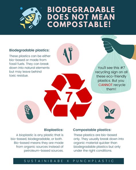 Why Eco Friendly Plastics Suck Infographic — Sustainibabe