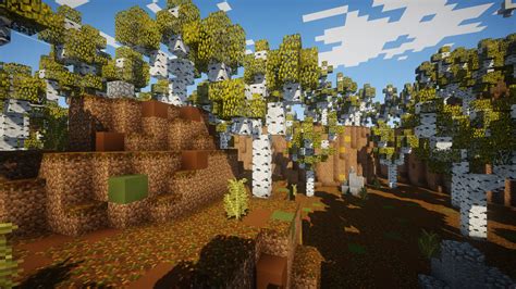 Birch Forest Minecraft Map