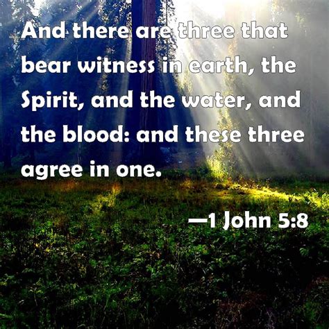 1 John 58 And There Are Three That Bear Witness In Earth The Spirit