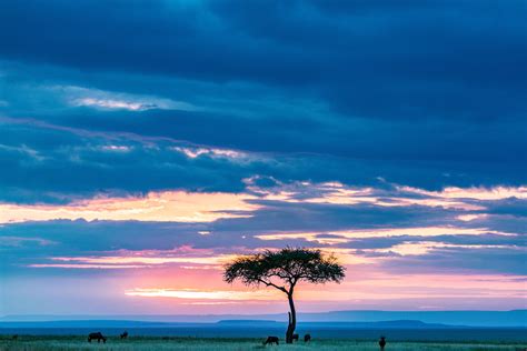 Maasai Mara National Park Reserve Magicalkenya Sunset And Sunrise