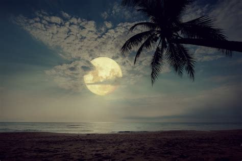 Hermosa Playa Tropical De Fantasía Con Estrella En El Cielo Nocturno