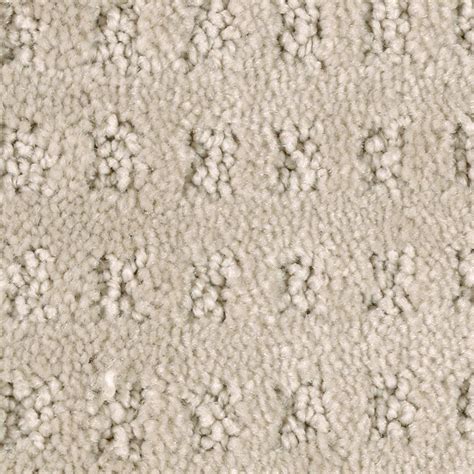 Check spelling or type a new query. Mohawk Carpet Sample - Canter - Color Twig Textured 8 in ...