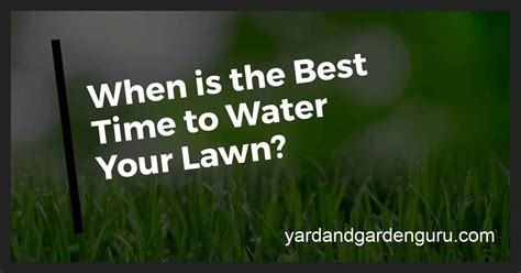 Watering your lawn to perfection is actually a fine art. How Long Should I Water the Lawn? (Lawn Watering Schedule)