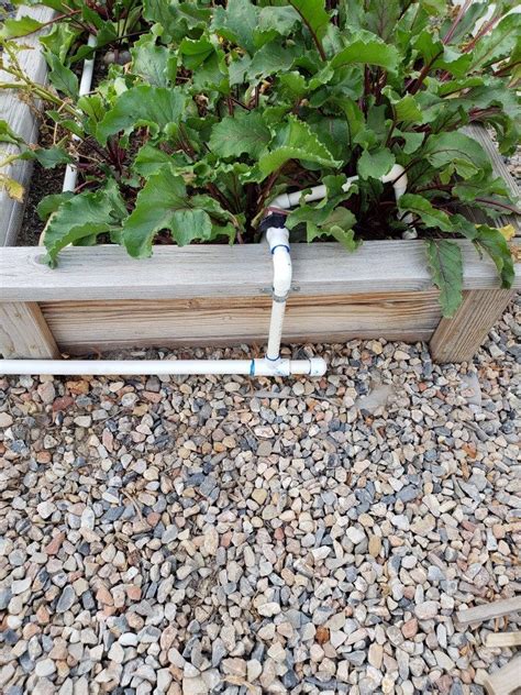 Pvc Drip Irrigation System In Raised Beds Our Stoney Acres Organic