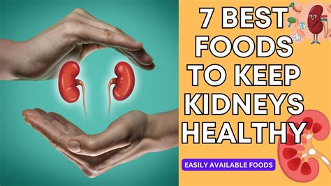 7 Best Foods For Kidney Healthy Easily Available Foods For Healthy