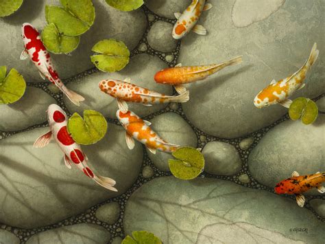 Recent Releases Archives Koi Fish Paintings By Terry Gilecki