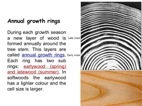 Counting the growth rings shows how old the organism is, or was when it stopped growing. 66 best images about ARE - Materials and Methods on ...