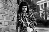 Freddie Mercury - Portrait - Queen | Freddie mercury joven, Freddie ...
