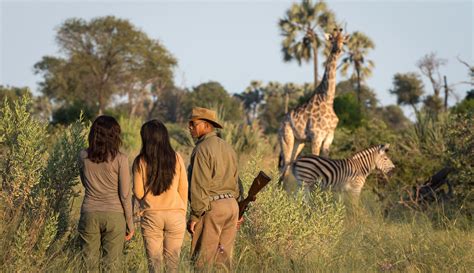 Safari Aktivitäten Fußsafari Consafarity