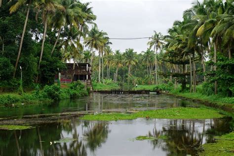 Beautiful Village In Kerala Smithsonian Photo Contest Smithsonian Magazine