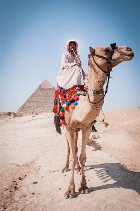 nomad on camel near pyramids in egyptian desert editorial photo image of pyramid monument