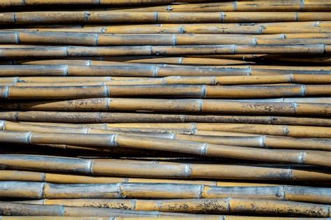 Premium Photo Group Of Bamboos Backgroundpile Of Bamboo Pole Texture
