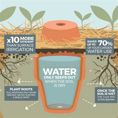 How To Make Your Garden Drought Proof Using Unglazed Clay Pots The
