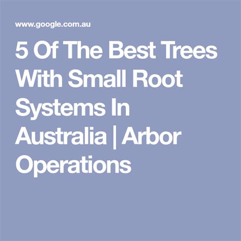 5 Of The Best Trees With Small Root Systems In Australia Arbor