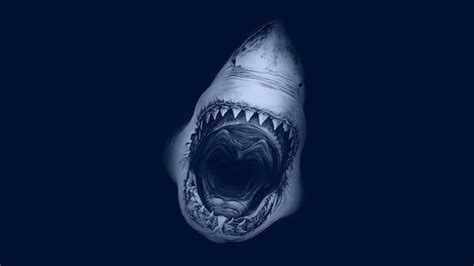 Scary Sea Wallpapers Top Free Scary Sea Backgrounds Wallpaperaccess