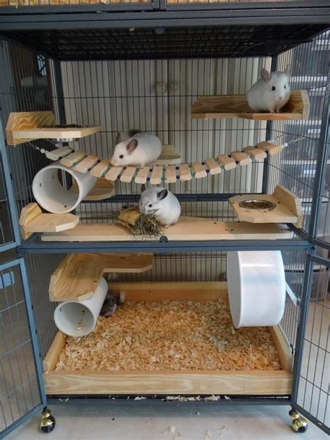 At a bare minimum, for a single chinchilla, their cage should be at least 30″ x 18″ x 48″ in size. Cage Accessories - Whimsy's Menagerie & Chinchilla Rescue | Chinchilla cage, Chinchilla pet ...