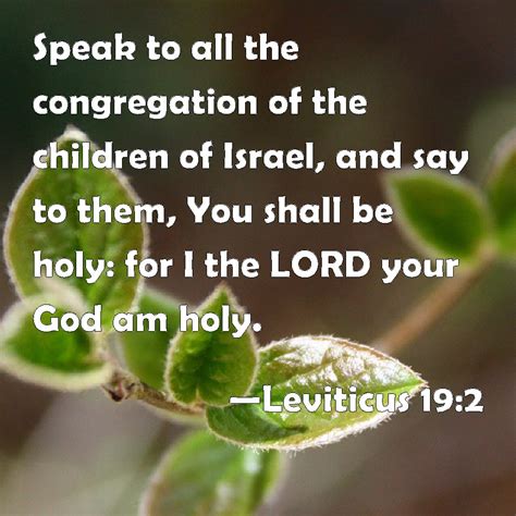 Leviticus 192 Speak To All The Congregation Of The Children Of Israel