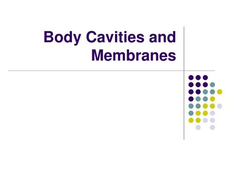 Ppt Body Cavities And Membranes Powerpoint Presentation Free Download Id 1708628