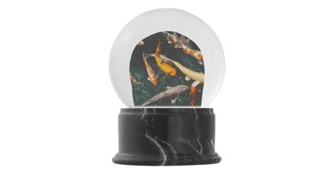 Aquarium Snow Globe Zazzle