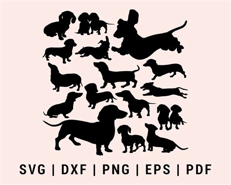 Dachshund Dog Svg Creativedesignmaker