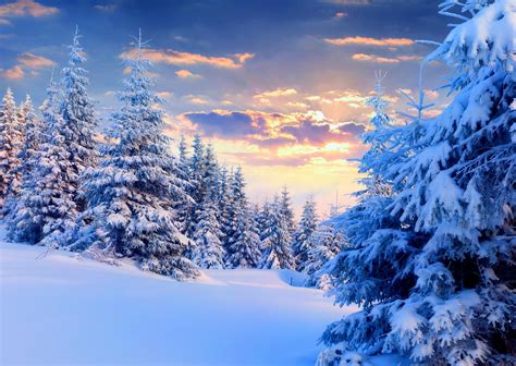 Winter Natur Szenen Hintergrundbilder Winter Wallpaper In 2020