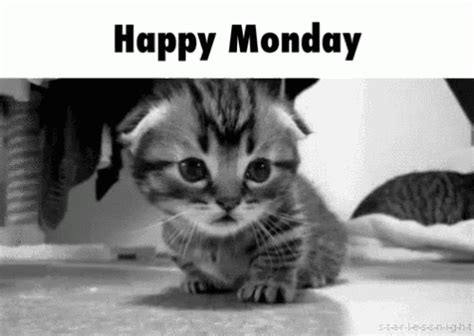 10 Monday Gifs For Those Who Hate Mondays