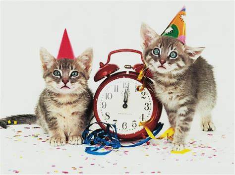 Happy cat диеты