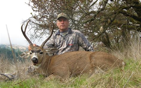 Deer Hunting California Guide1 Negc