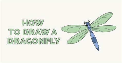 How To Draw A Dragonfly Really Easy Drawing Tutorial Drawing