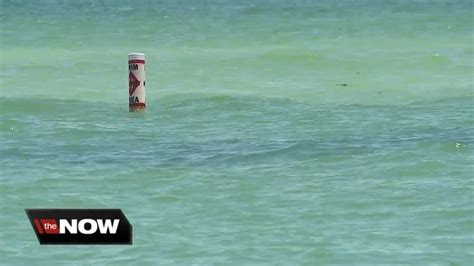 Red Tide Advisory Impacting Tampa Bay Area Beaches
