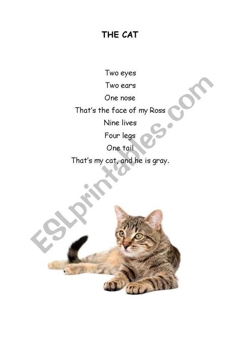 35 New Cat Poems For Kids