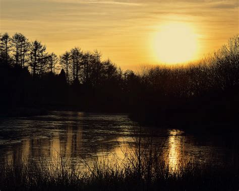 Sunset On A Frozen Pond Gnoll Park Neath The Mr Gnu