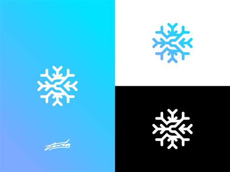 C Snowflake Concept Logo By Twig On Dribbble