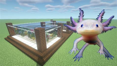 How To Make An Axolotl Farm In Minecraft Pe Minecraft Minecraft Pe