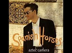 Aztec Camera - Spanish Horses - YouTube