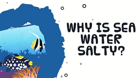 Why Is Sea Water So Salty — Steemit