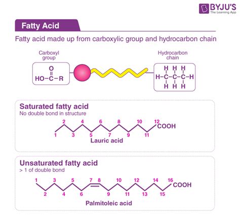 Fatty Acid Groups What Are Fatty Acids Classification Productions