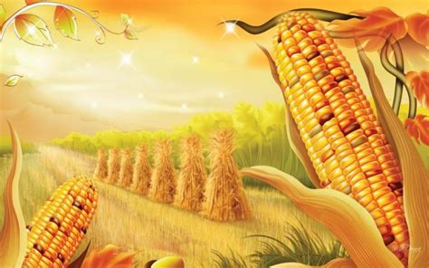 48 Free Harvest Wallpaper On Wallpapersafari