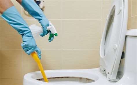 Tips Para Limpiar El Sarro De Tu Inodoro Consejosdelacasa