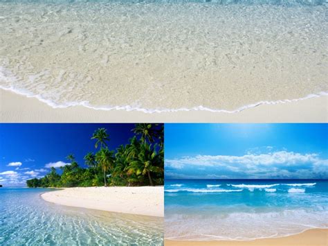 Free Download Wallpapers Animated Beach Backgrounds 800x600 For Your Desktop Mobile And Tablet