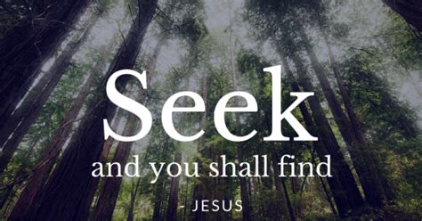 Seek And You Will Find Daily Devotional Lincoln Presbyterian Church