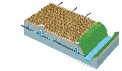 Controlled Drainage Transforming Drainage